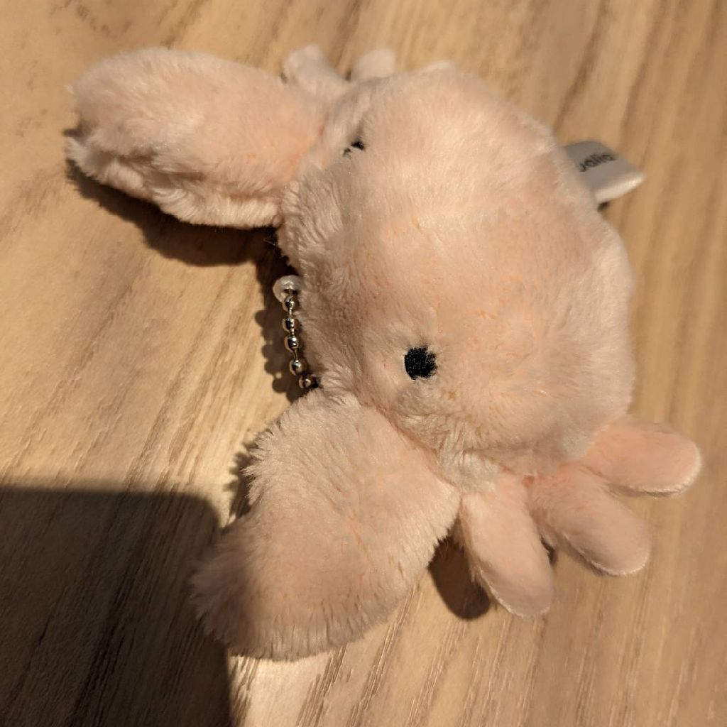 よつえすAANN　勝手に前夜祭④