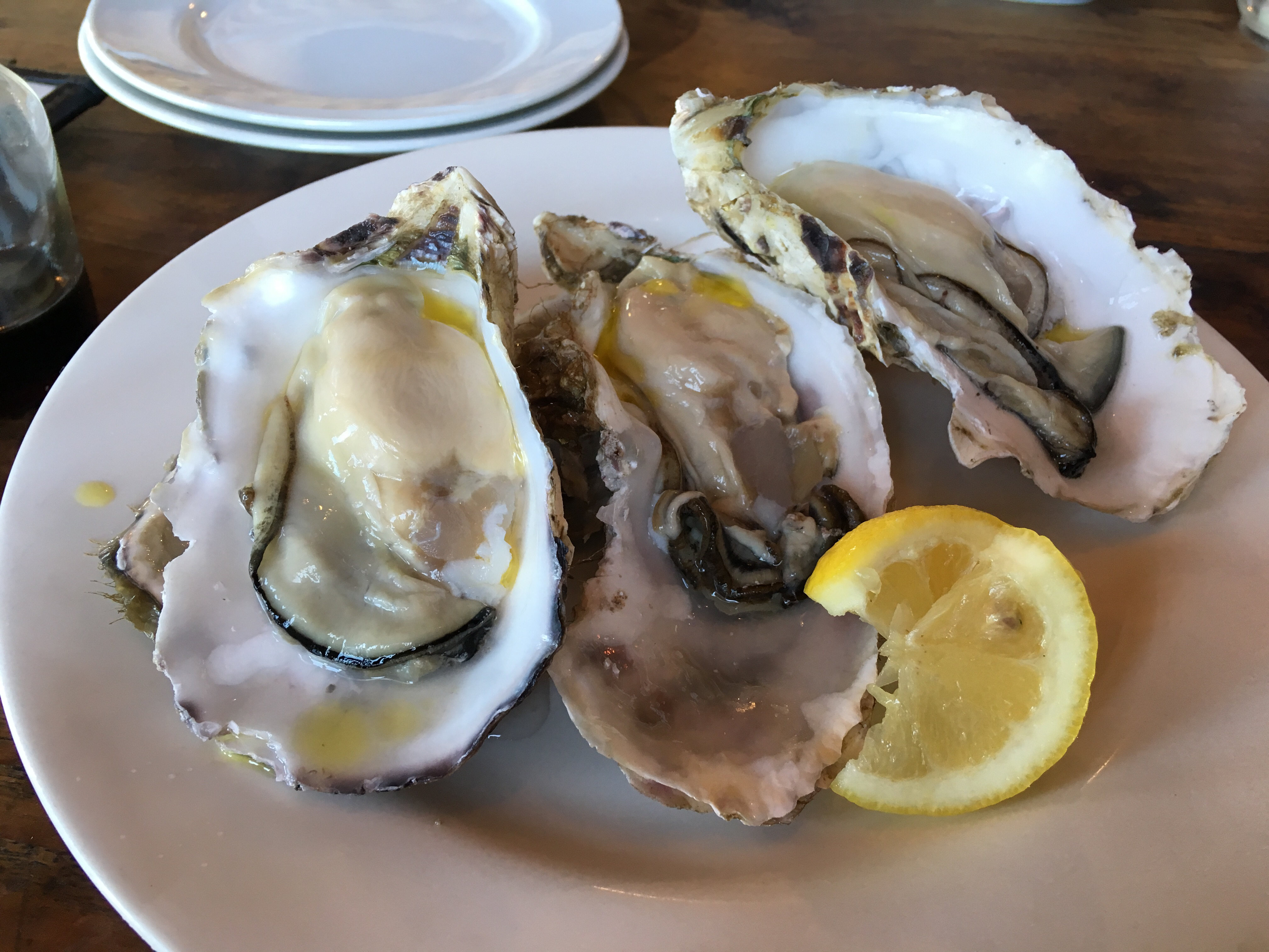 きちん。が喋るだけ