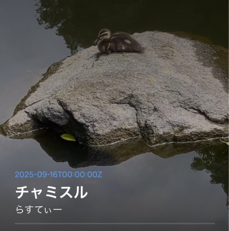 第2211年回　近況野郎