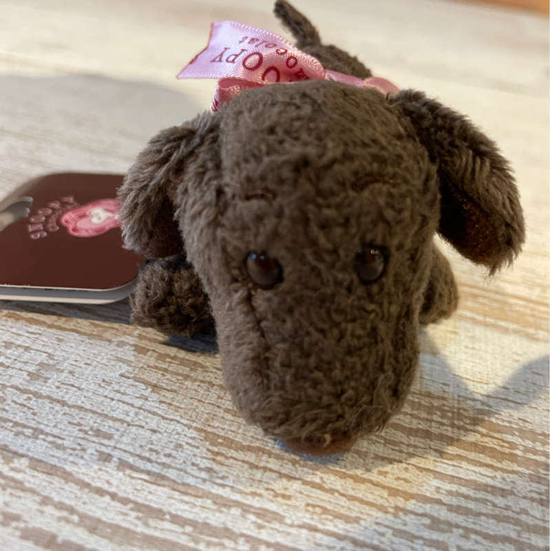 258 朝から掃除した