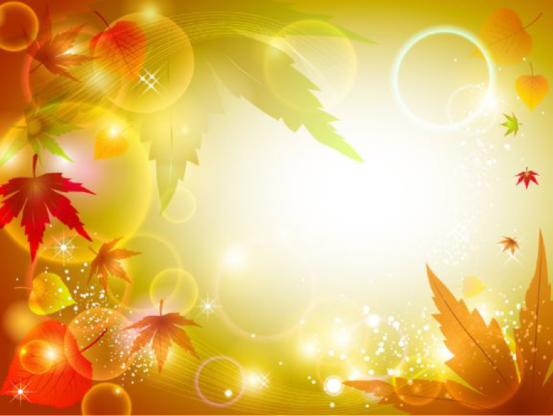 カレー鍋☆セロリが合う！