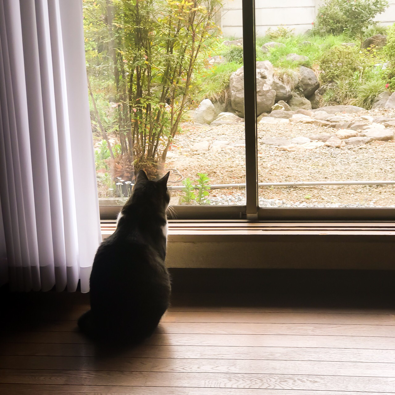 失敗し続けてるあなたに！