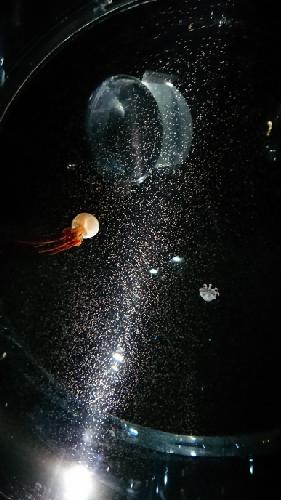 文字うちながらあ～～～って言ってるだけ