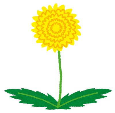 推しのCD発売日