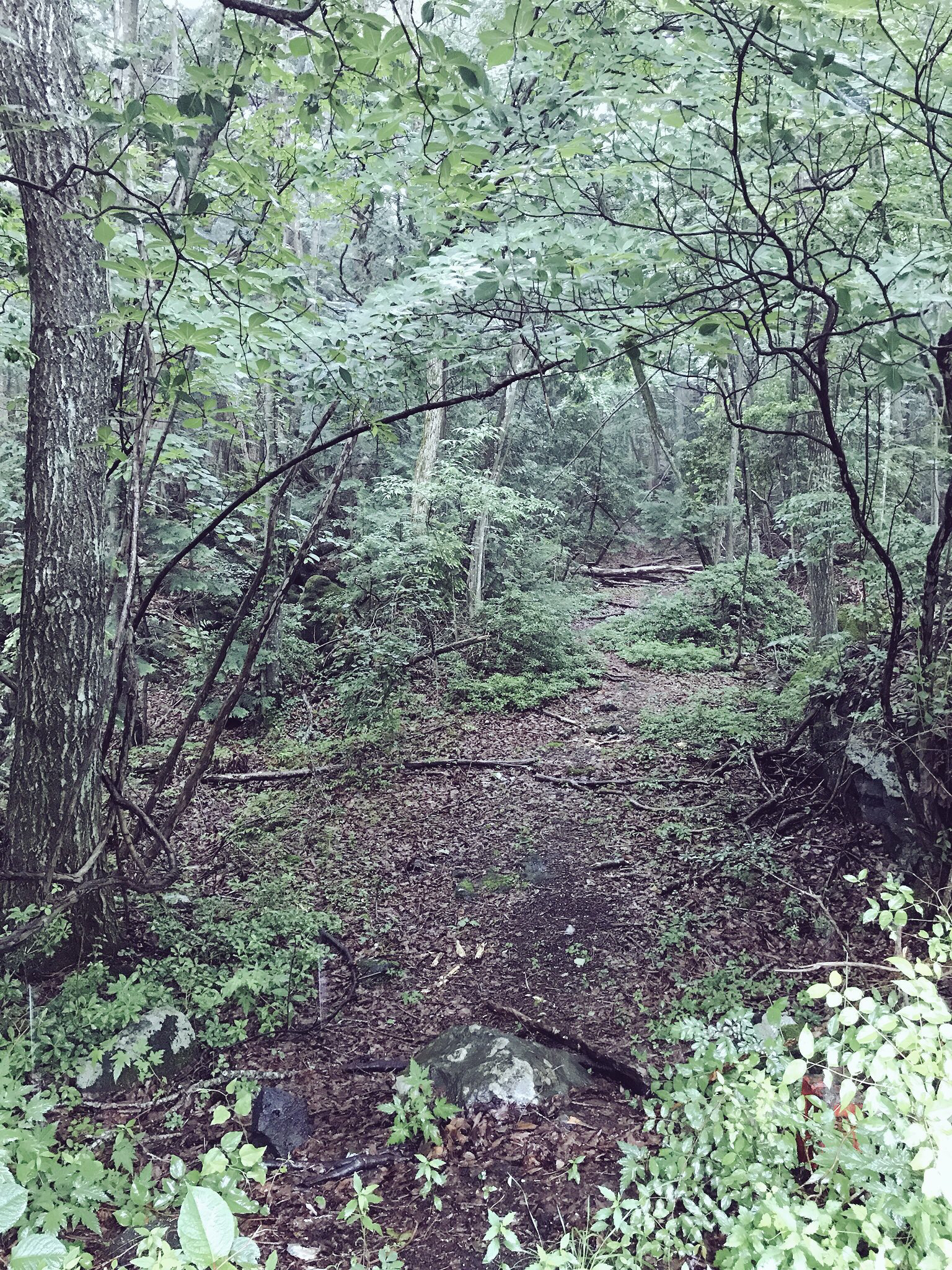 「なっさんの矛盾ラジオ」