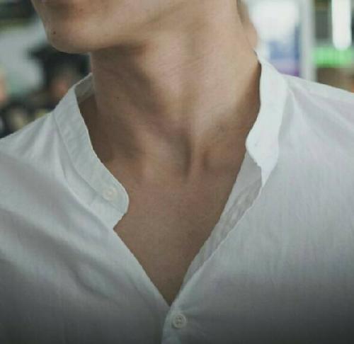 台湾とふぃあっとーくと、マシマロのお返事