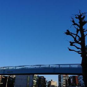 No.017 言葉遣いから育ちの良さを納得する