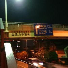 No.028 猫も歩道橋を使うんだな、って思えば歩道橋は必要だ