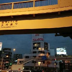 No.032 歩道橋から見えるものを喋っているだけなので聴かないでください