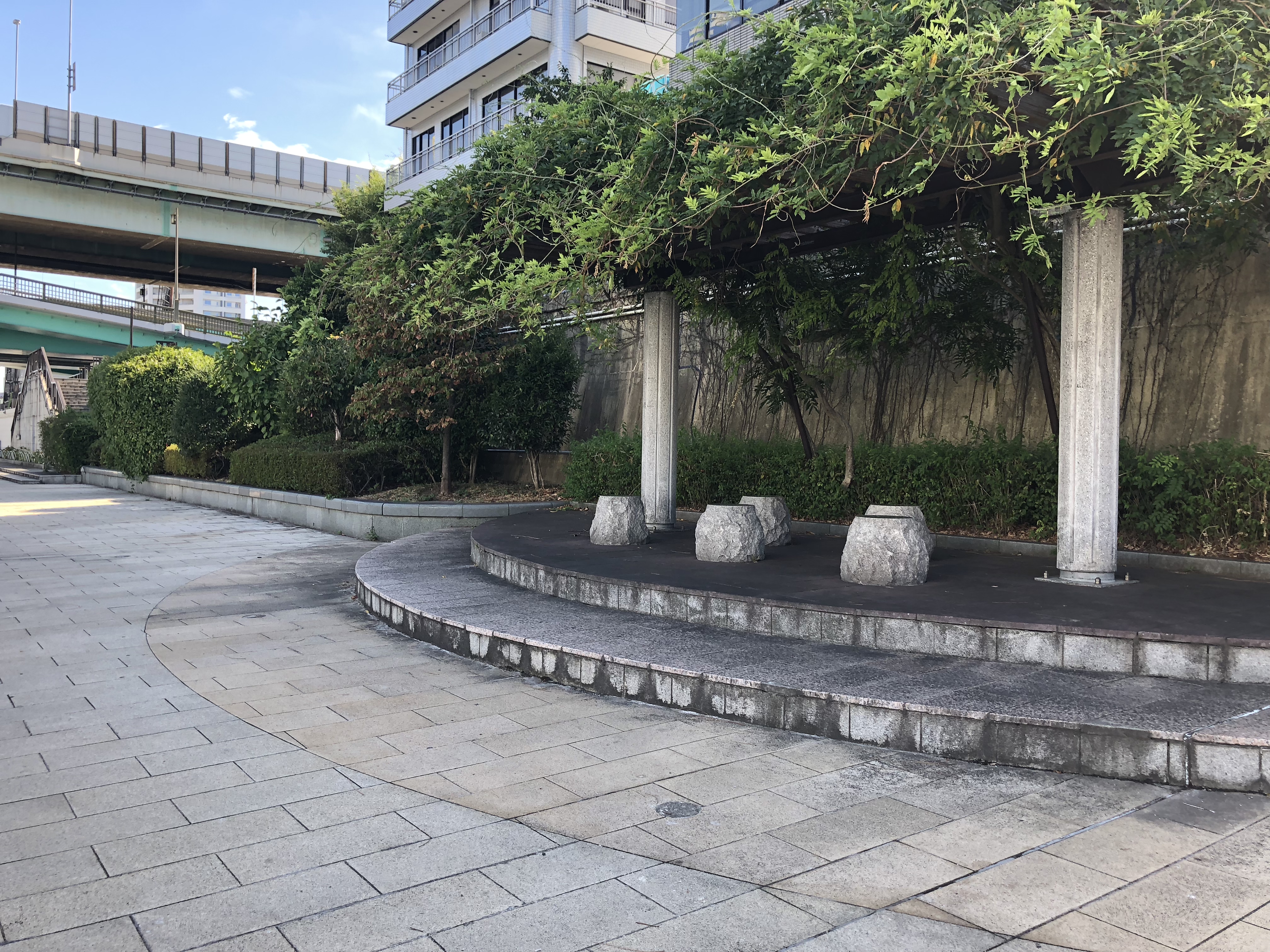 桜庭薫がアイドルになった理由についてしゃべってるやつ