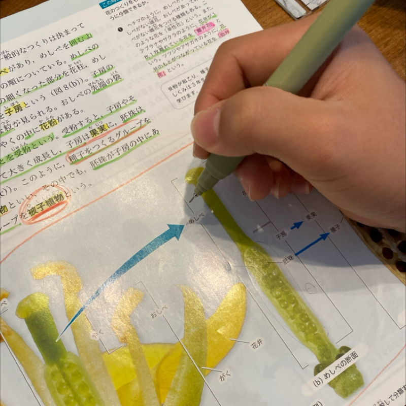 #1694 理科32点から100点への道✨