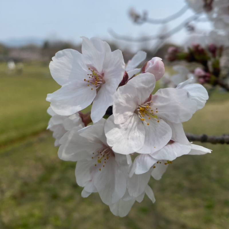 #1774 『視点』という価値  活かすかどうかは自分次第