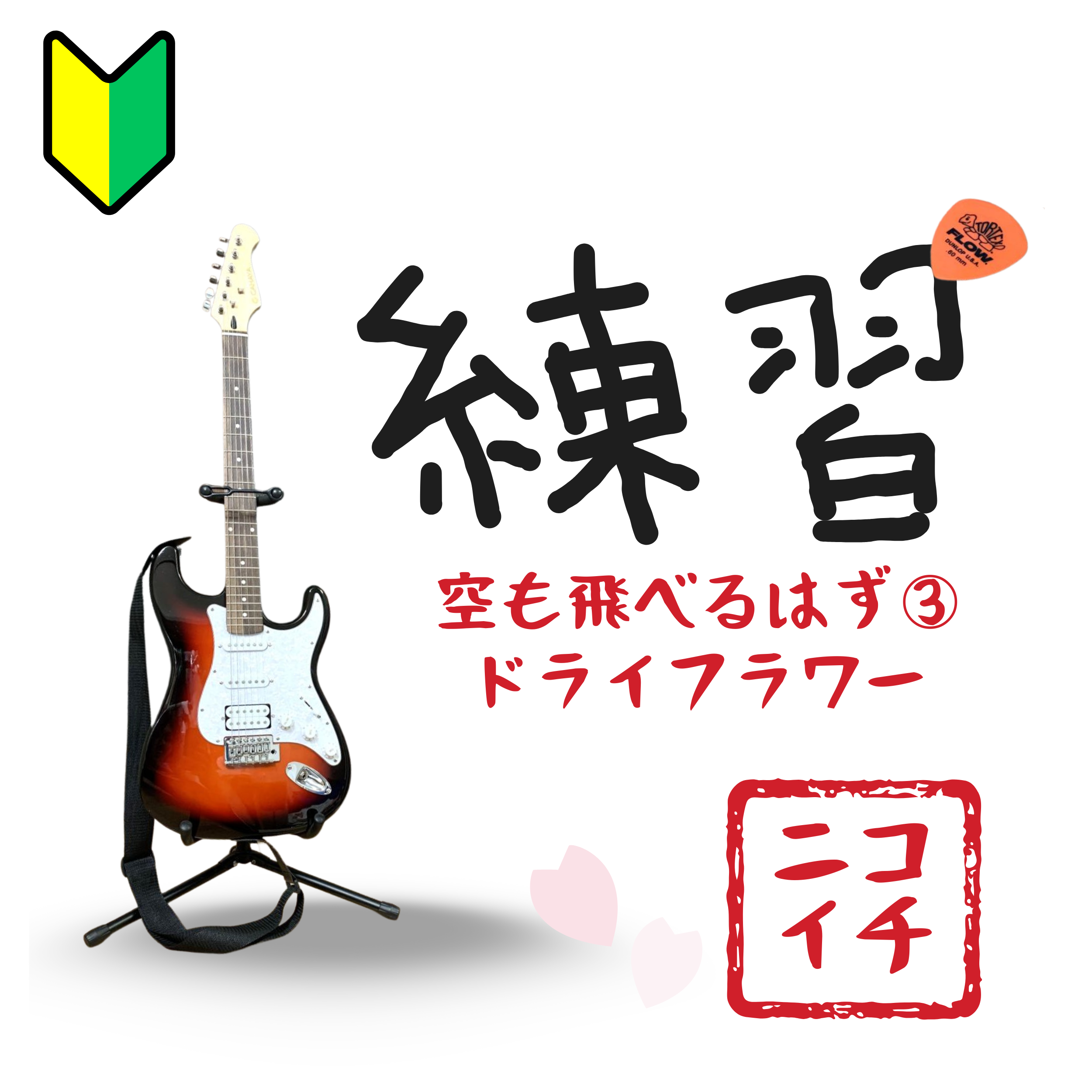 1に練習2に練習の空も飛べるはずとちょっとドライフラワー