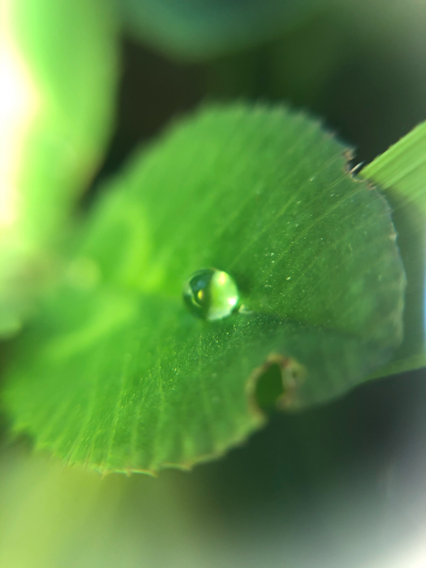 22時以降の働き方