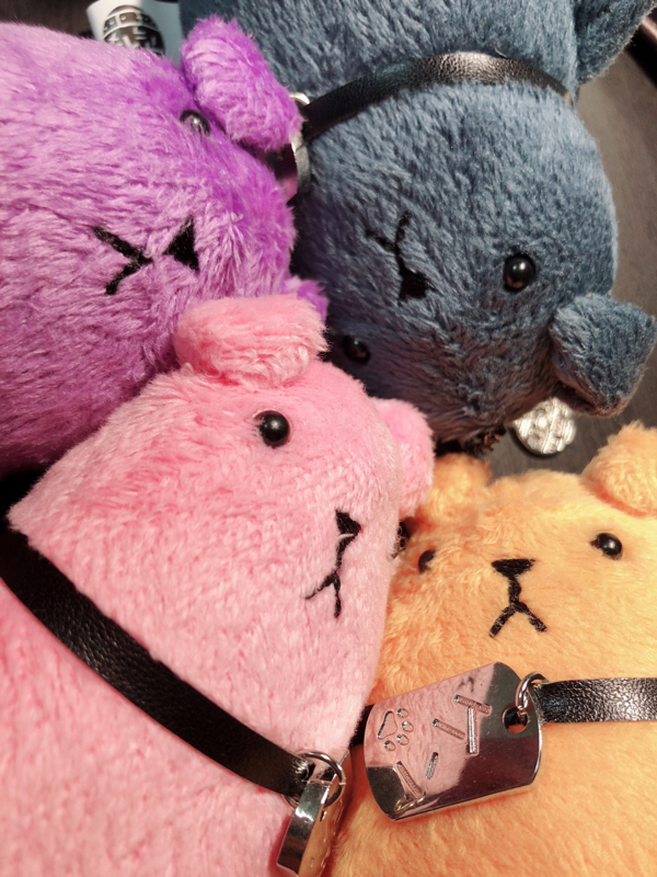 日記  ゼリー作りにハマった話とか京アニの話とか