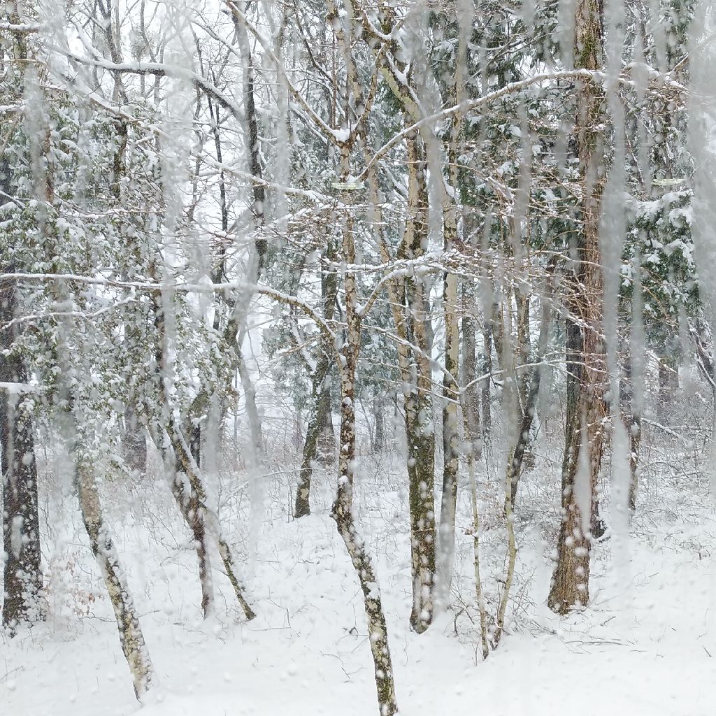 朝ドラの魅力☆