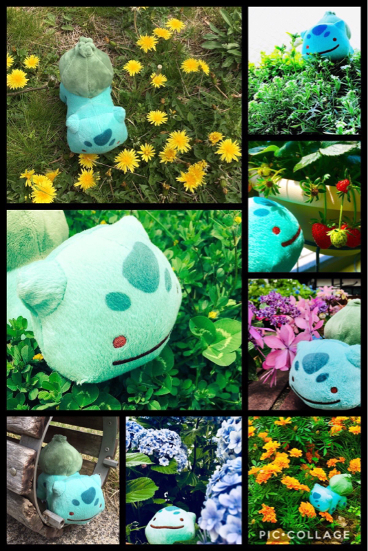 #49 映画を見てきた話