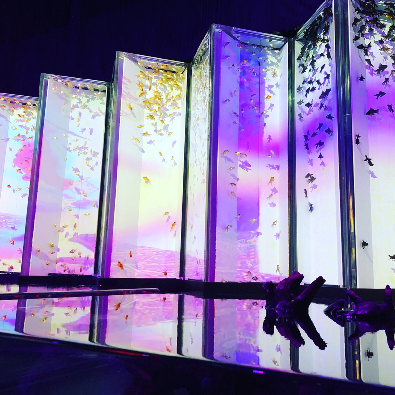 【9/8】テリーのよもやますぎる部屋 土日版 #よもべや