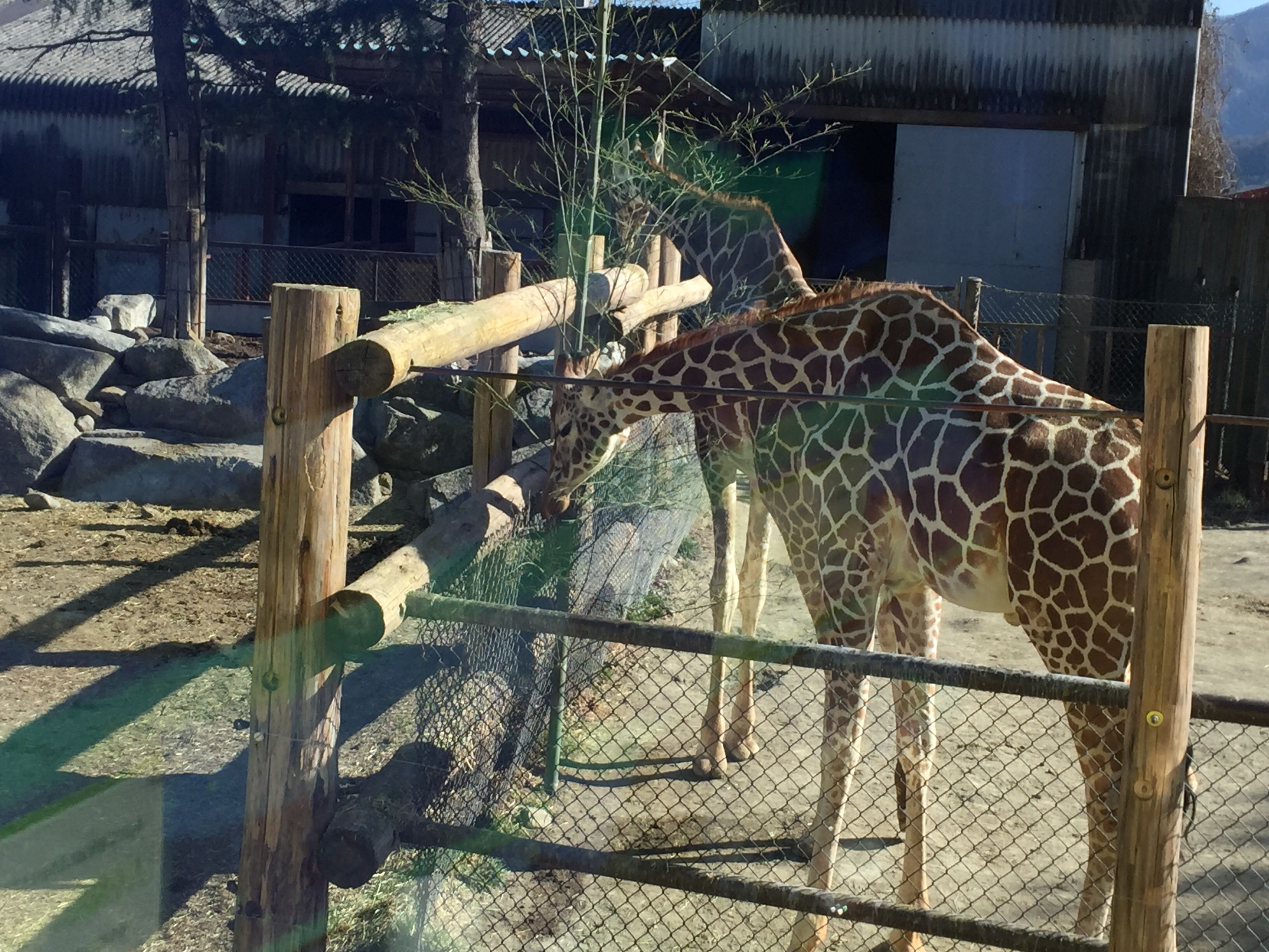 取り留めもなく同軸リバの話をする2