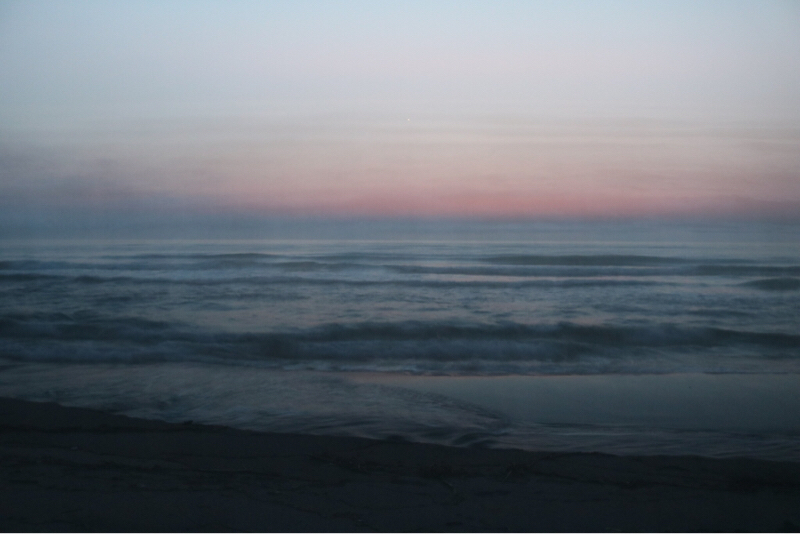 夢鰯の語り(バブリスト)