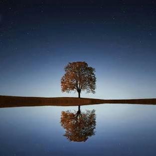 #0   すずめの樹とこれから