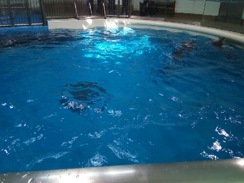 給料が余らない。