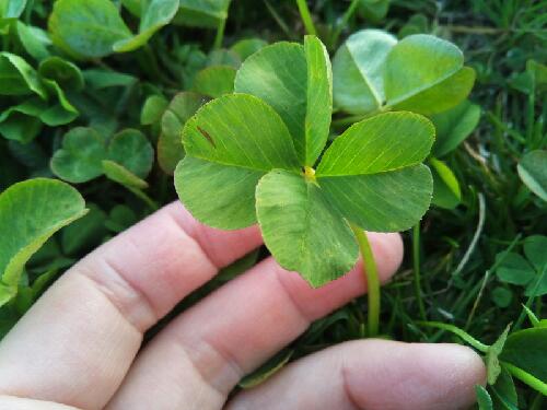 ぐっだくだや！