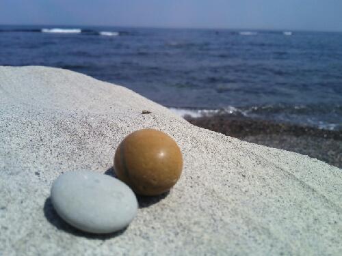 はじめてとったよ。