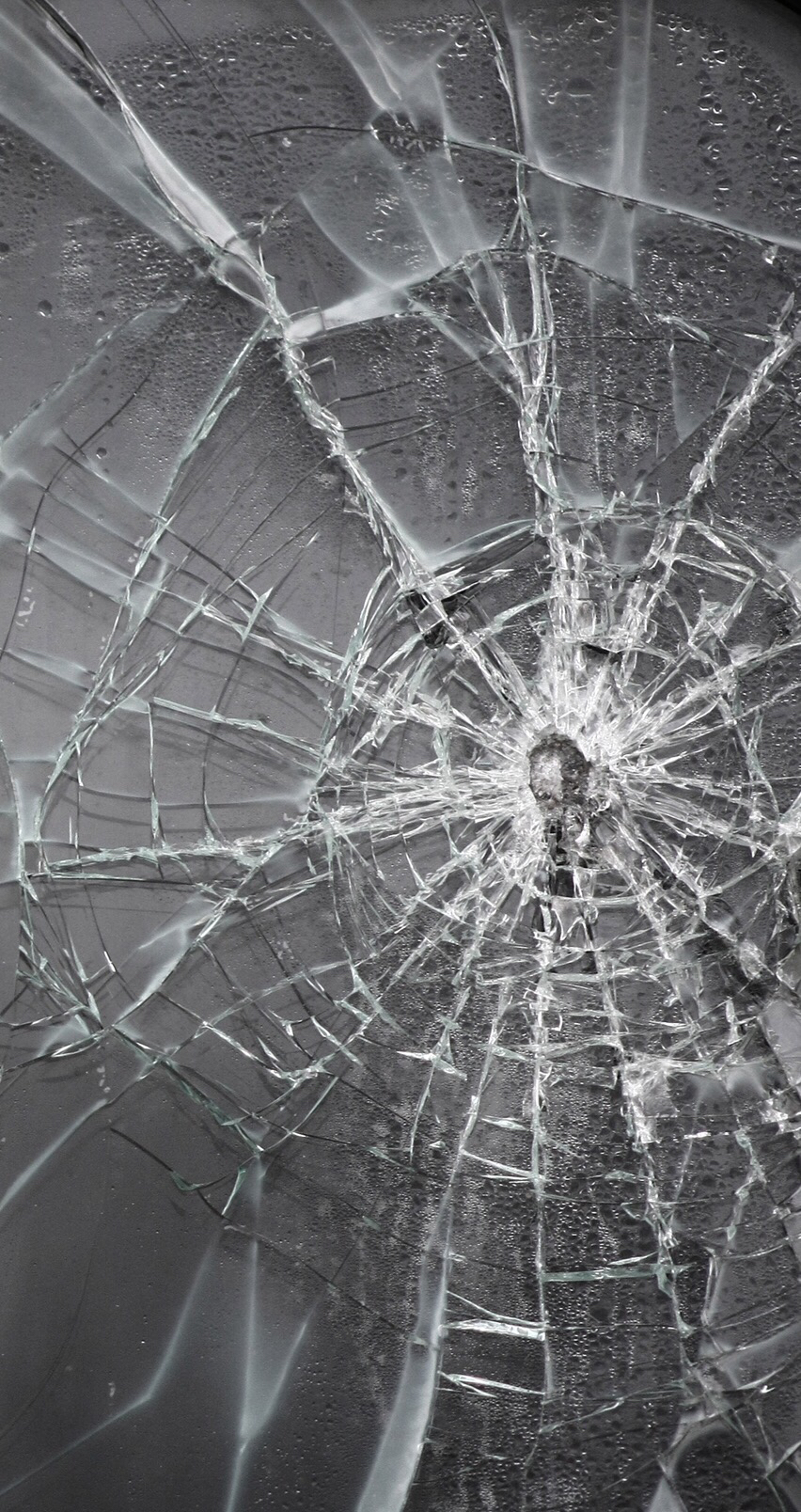 第2話 外国人の自由の恐怖