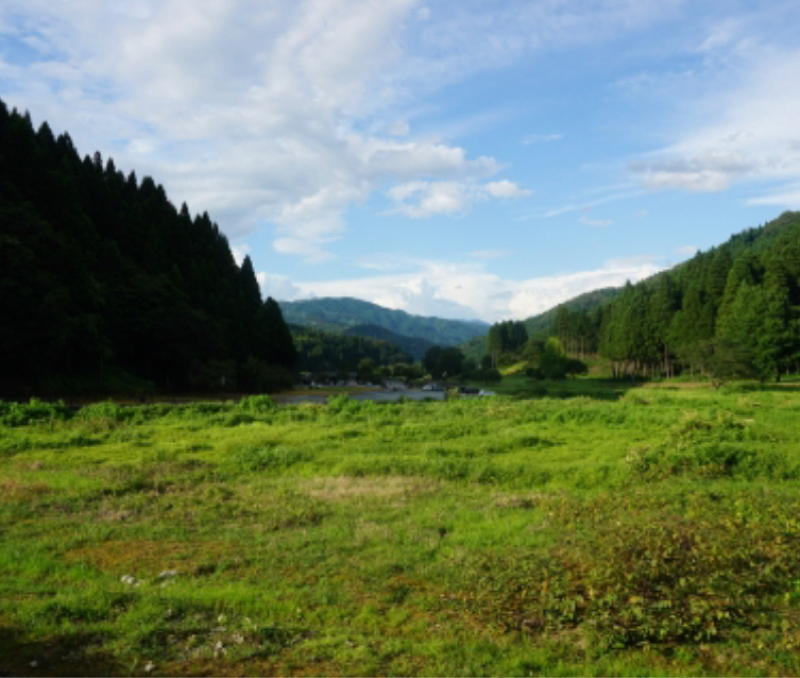 女心と他人のベンツは傷つけるな