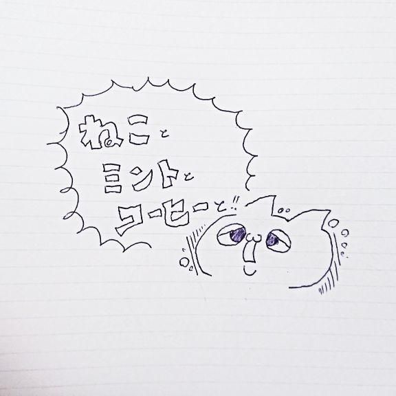 ＃6 猫日記始めます