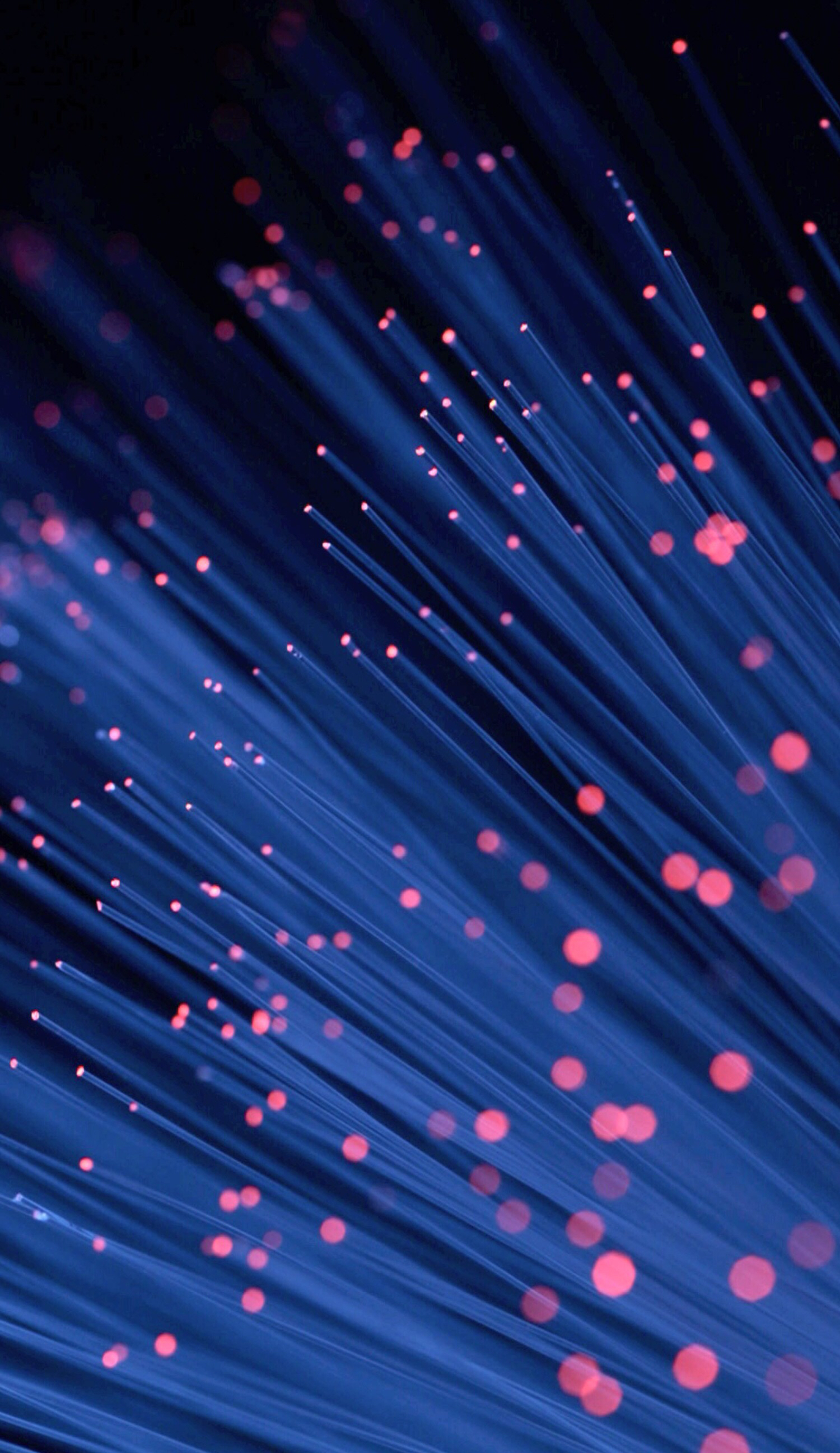 急に始まって急に終わる自己紹介