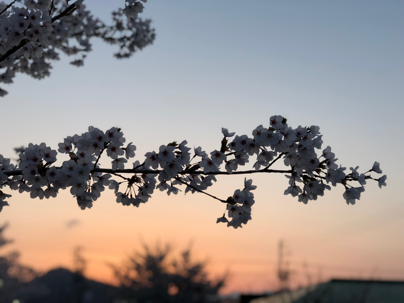 #13 【まるマ】人生で初めてバズった