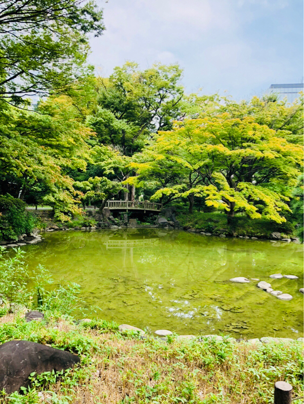  #14 【雑談】頭が痛いよ〜