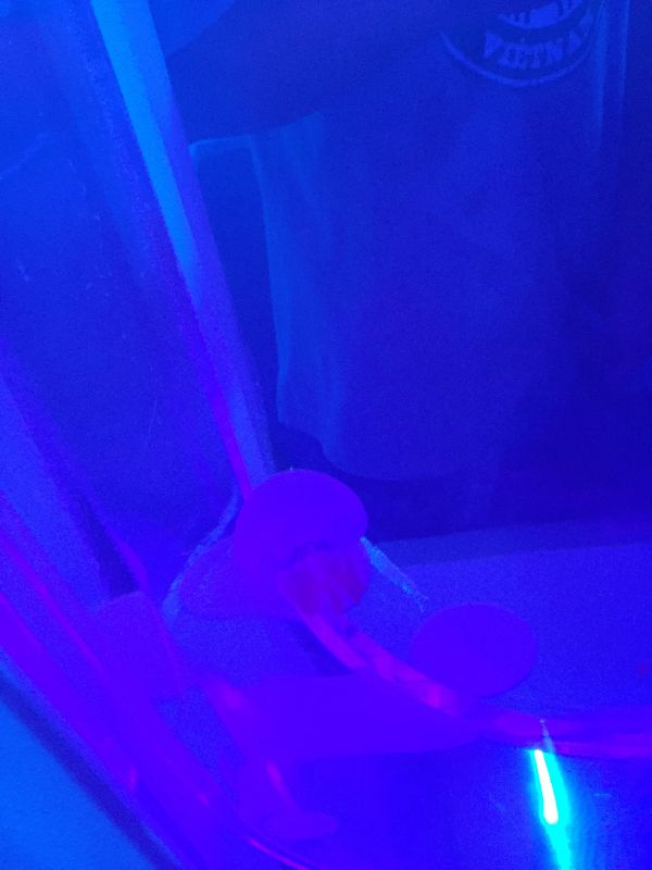 推しカプが最強に最高だっていうだけの話