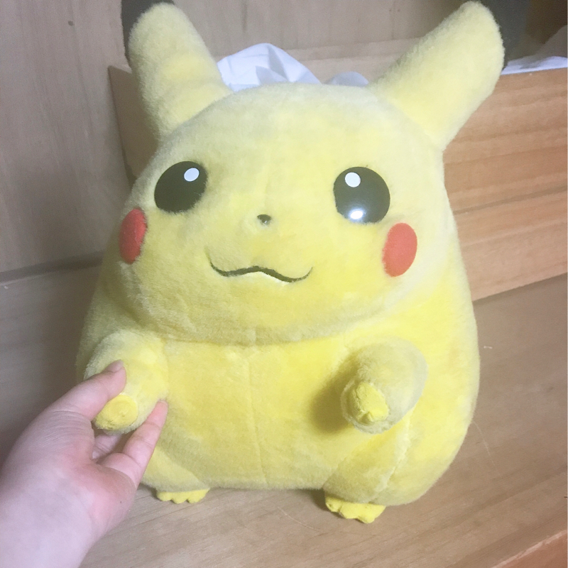 #141 ポケモンゲットだぜ！！