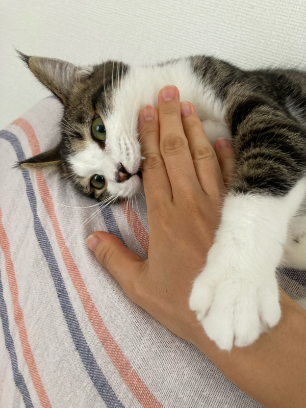 #98 0831【兄のワクチン話／LINEとの付き合い方】