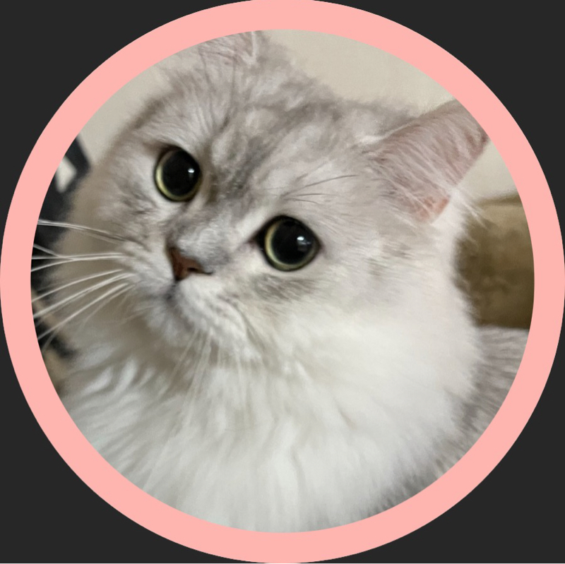 PomPom                    🐱