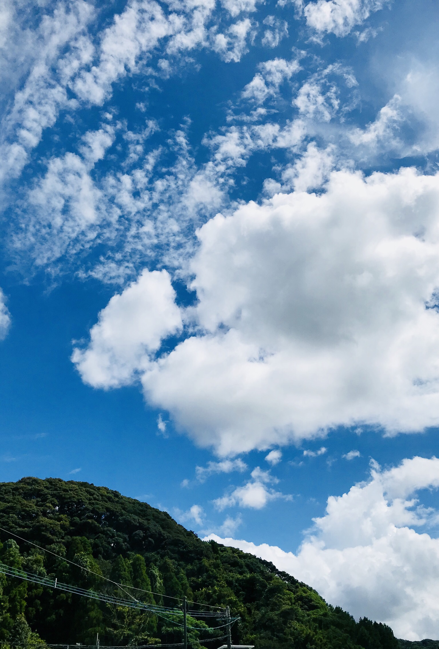 ヒプ…はじめて聴いたよ