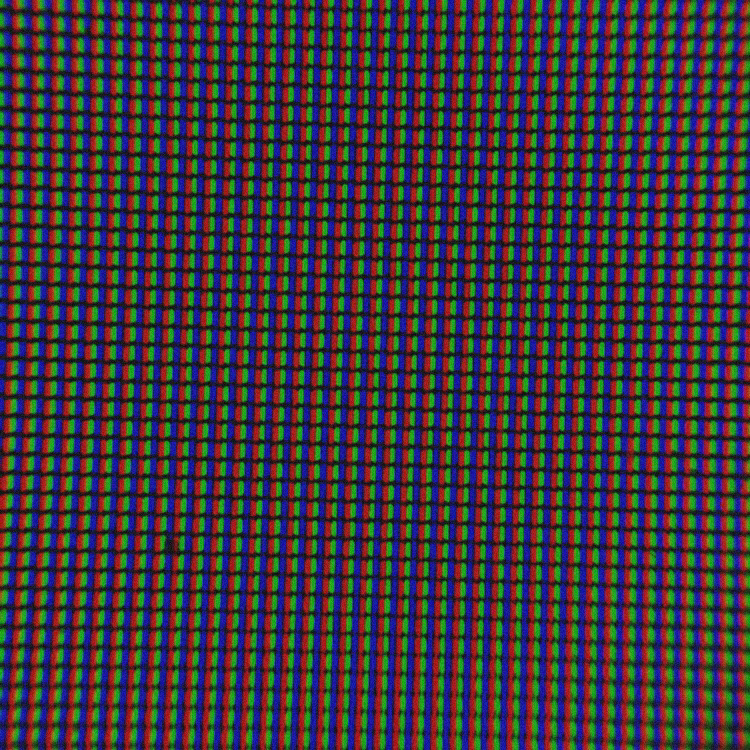 歯磨き上手かな？