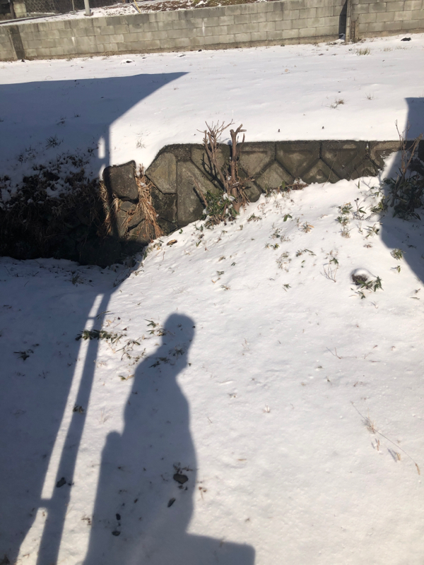 ADHDとは？そして、原因は？