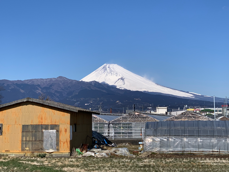 確定申告で所得控除（生命保険料控除、扶養控除など）を受ける方法