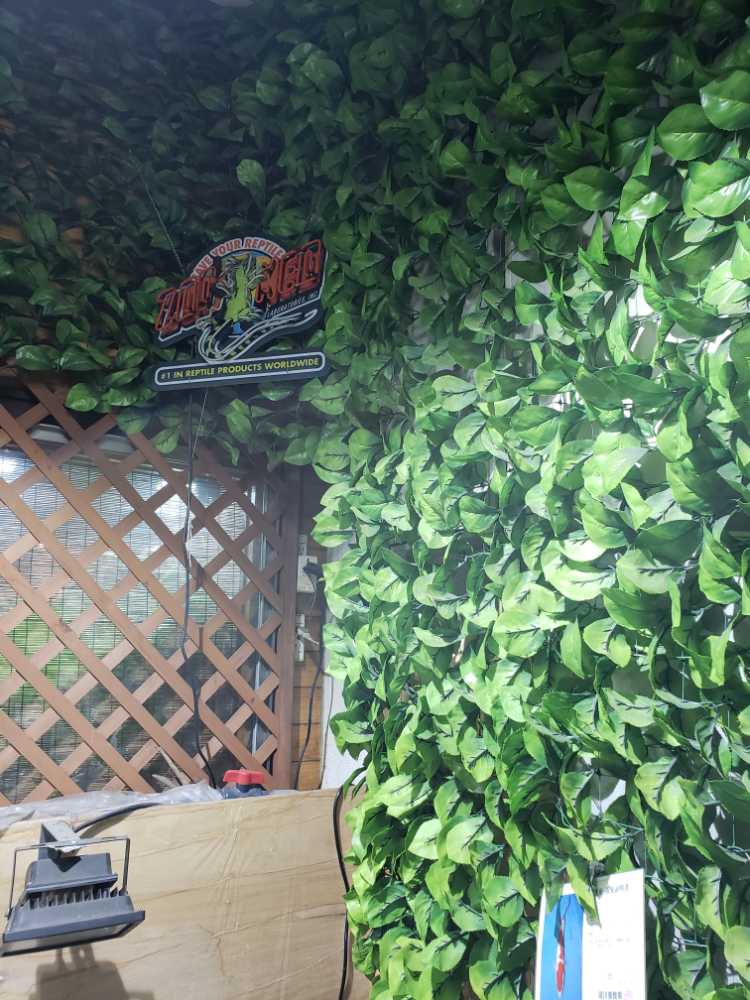 かやらじ／そのいち