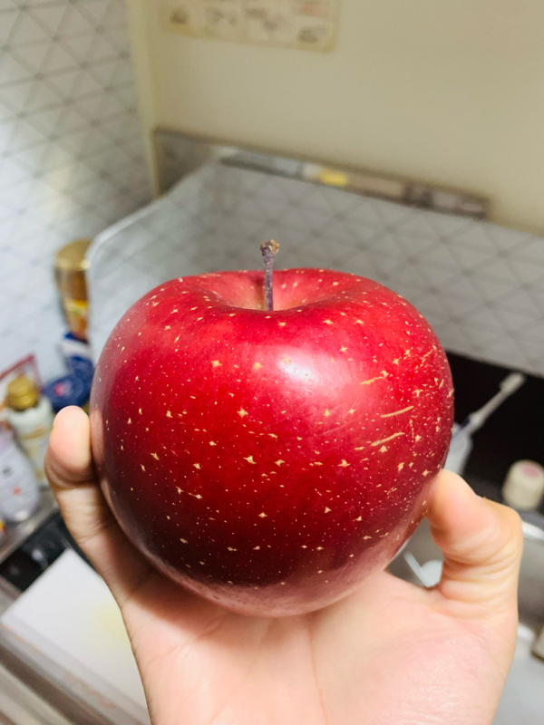 LINE派？通話派？