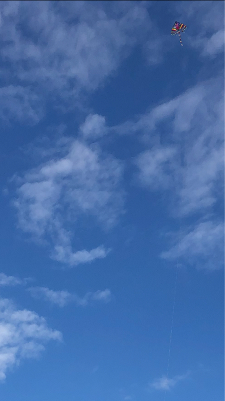 天