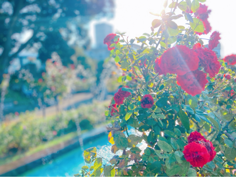 全身の診断をした話②