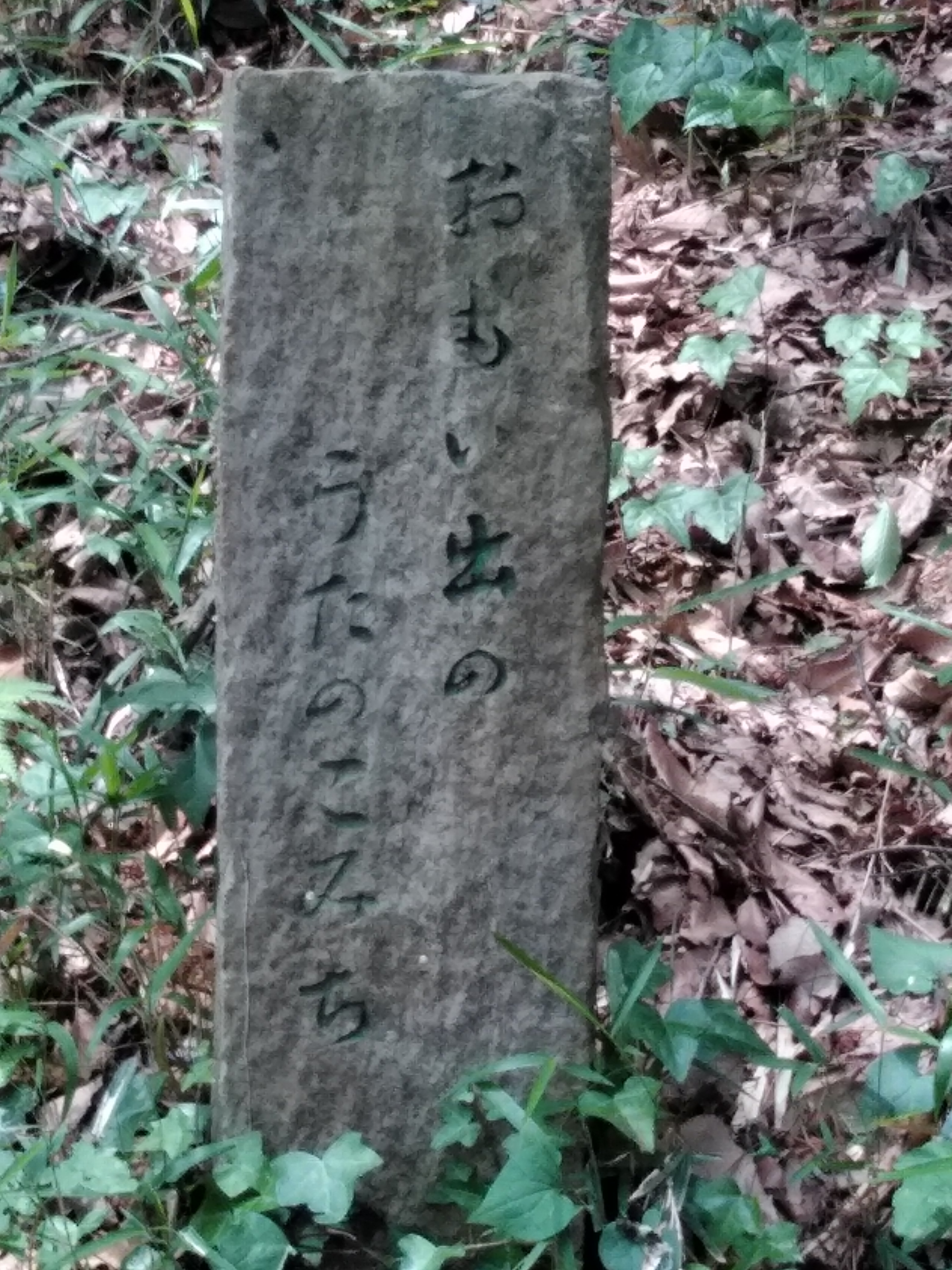 おもいでのうたのこみち