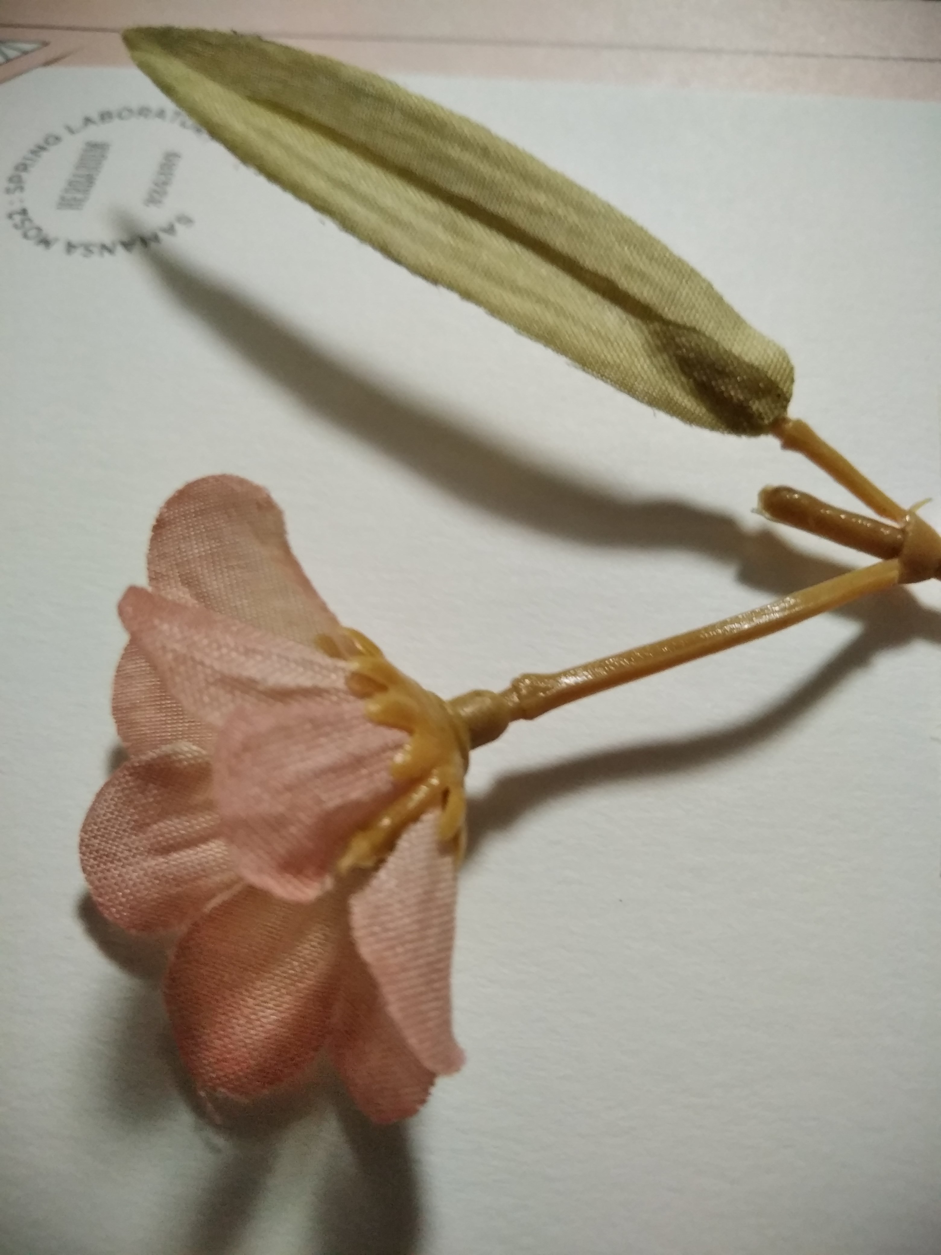 書類合格率90%の写真館『写真のたなかや』さん