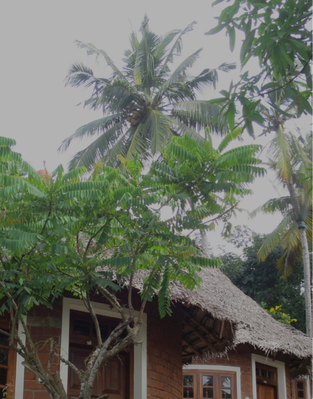 #48 お便り紹介&新しいラジオトークご紹介