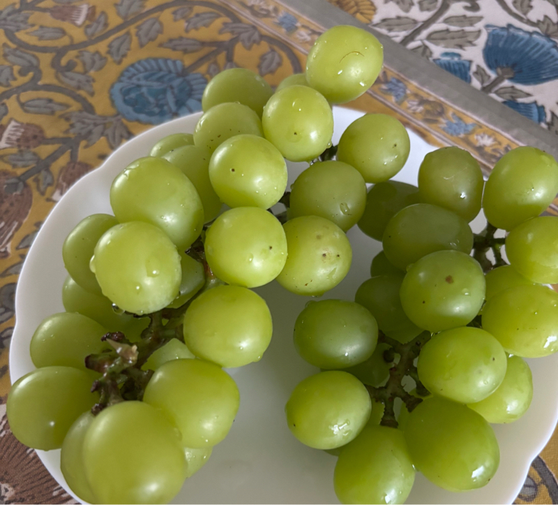 #136 (19/100) 今日の出来事の中から思ったことは…
